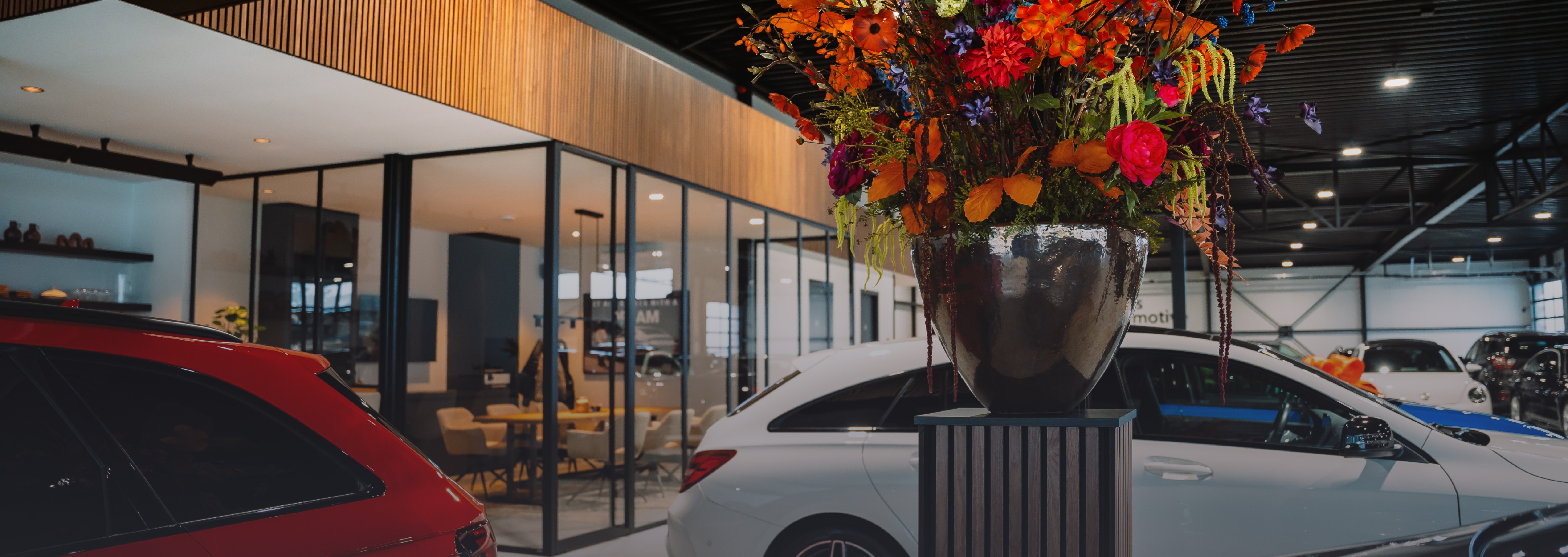 Header Image 1