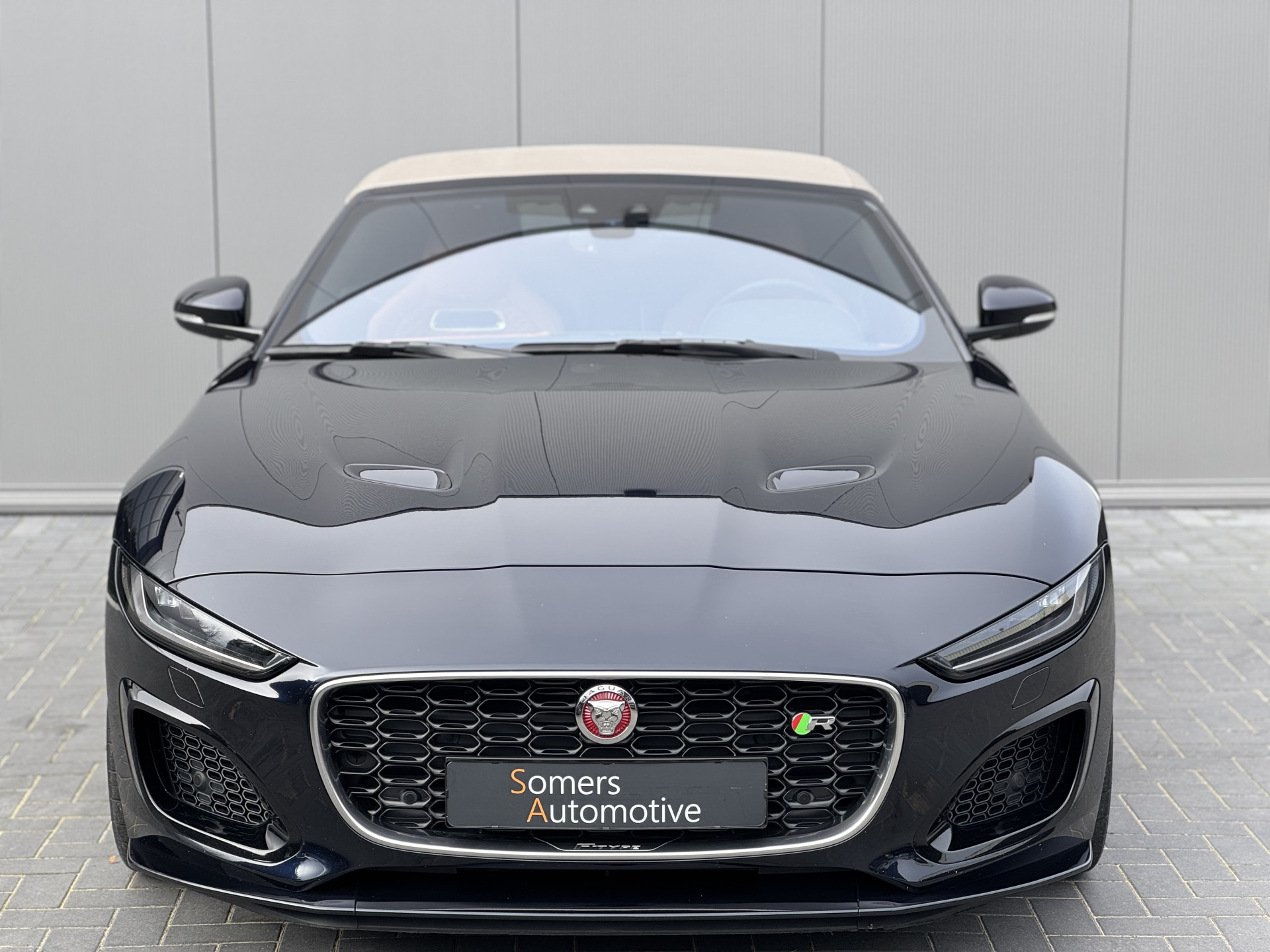 42770105-2.jpg