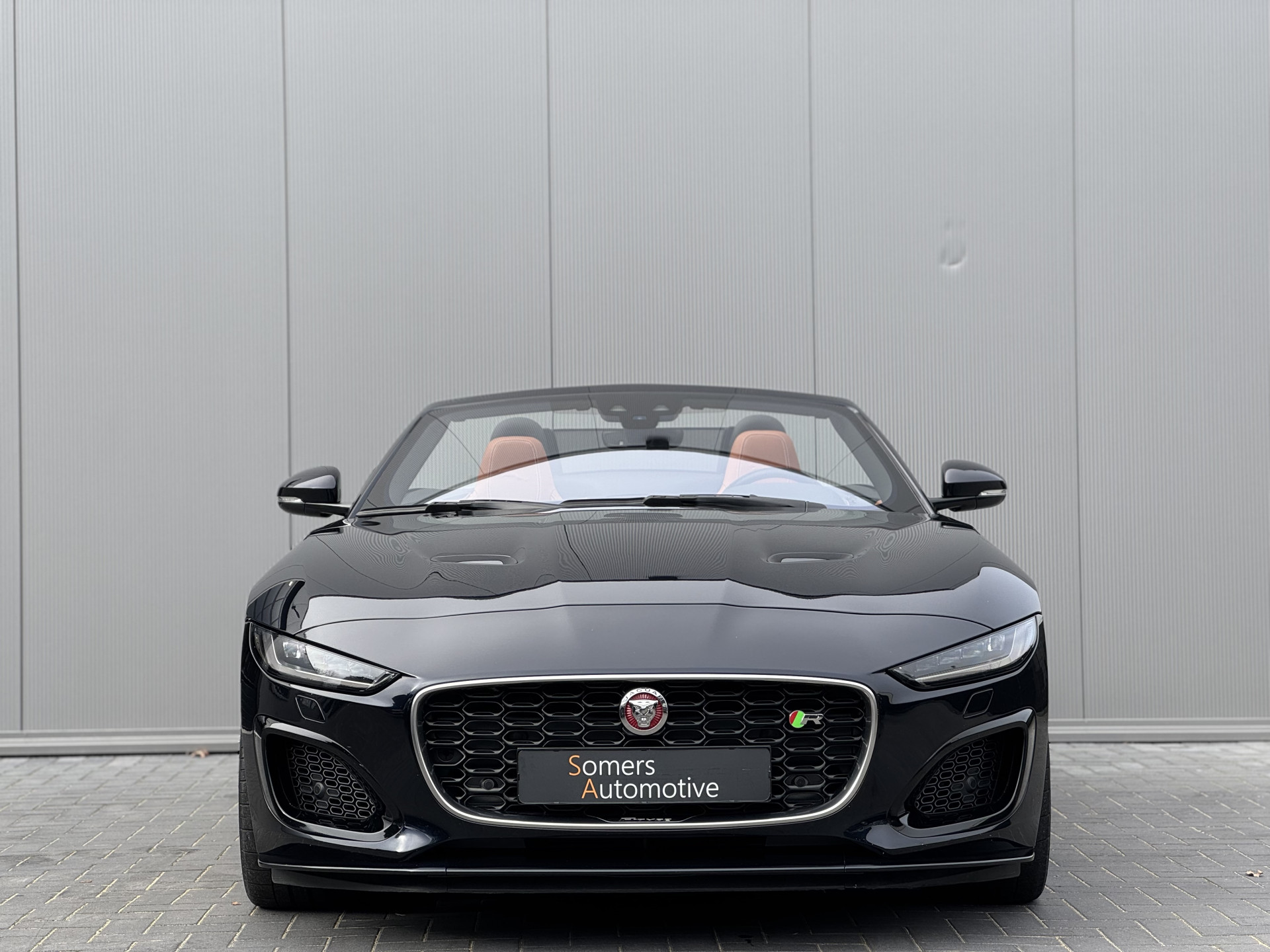 42770105-9.jpg
