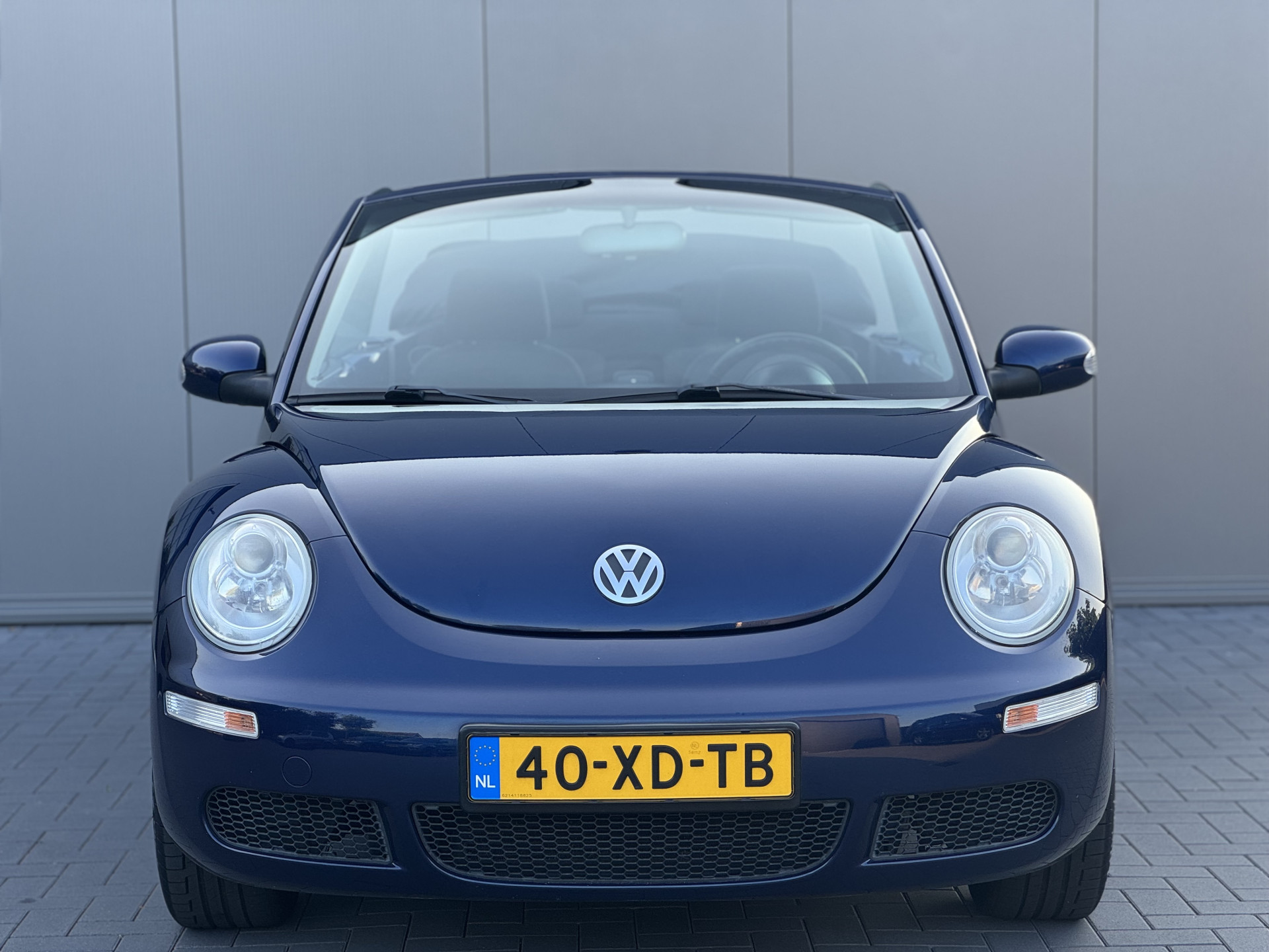 46502148-12.jpg