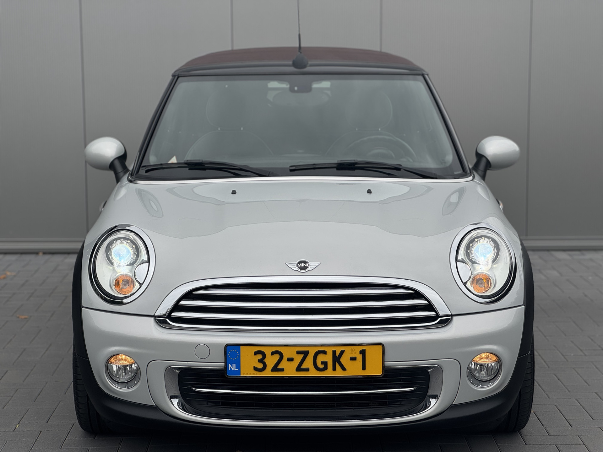 48202949-2.jpg
